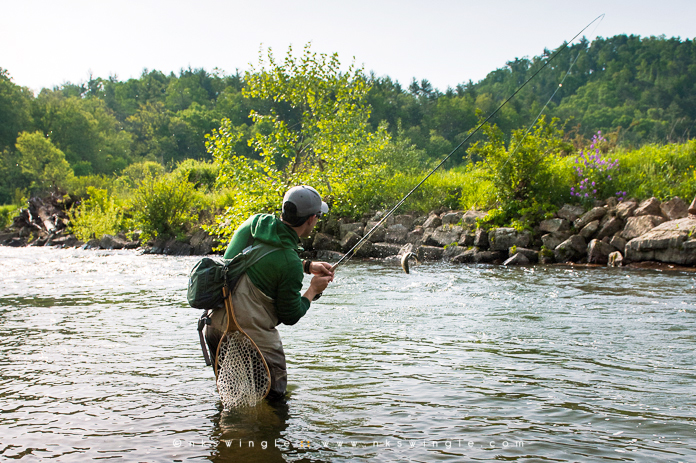 Meadow Lane Lodge & Cottages : VA Fly Fishing Destination | Nick & Kami ...